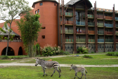 Captura-de-pantalla-2025-09-03-130720